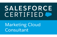 salesforce-marketing-consultant